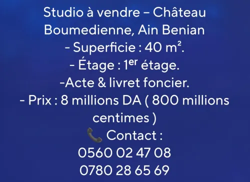 Vente Appartement Studio Alger Ain benian