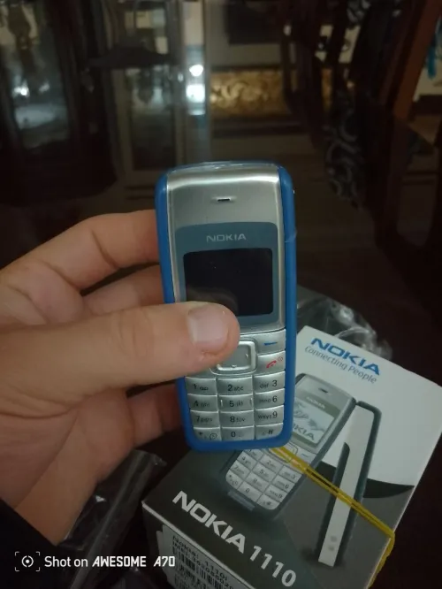 Nokia 1110
