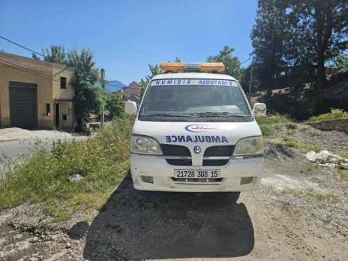 Polarsun Sunshine Ambulance 2008