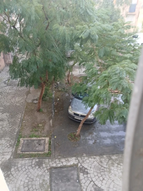 Vente Appartement F4 Blida Ouled yaich
