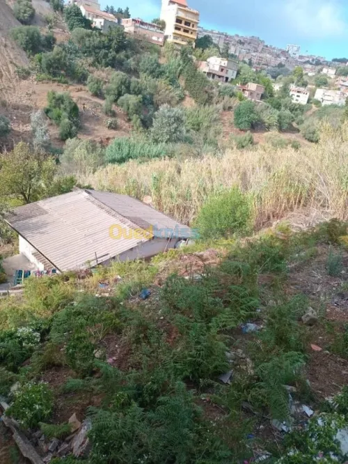 Vente Terrain Alger Bouzareah