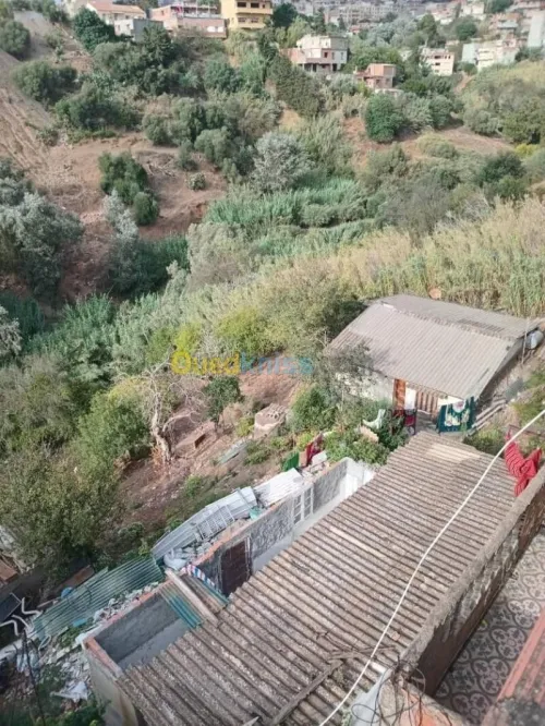 Vente Terrain Alger Bouzareah