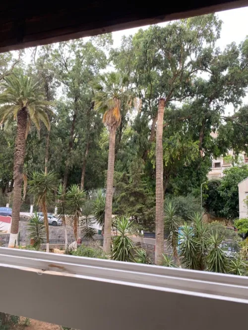 Vente Appartement F3 Alger El mouradia