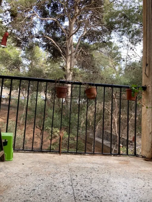 Vente Appartement F3 Alger El mouradia