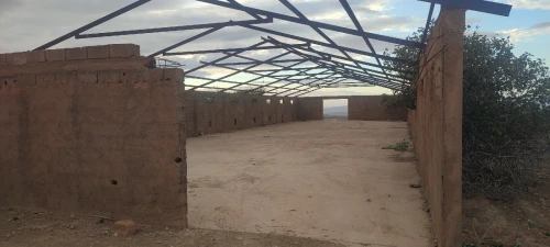 Vente Terrain Agricole Tlemcen Amieur