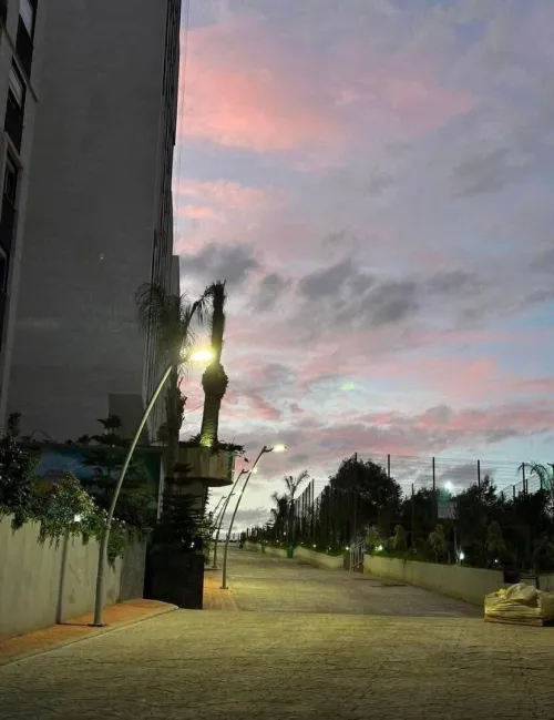 Vente Appartement Tipaza Kolea