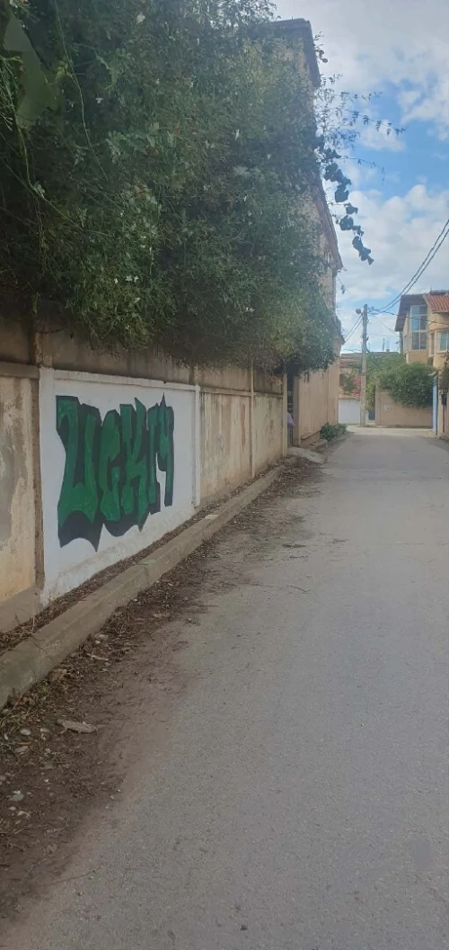 Vente Terrain Blida Blida