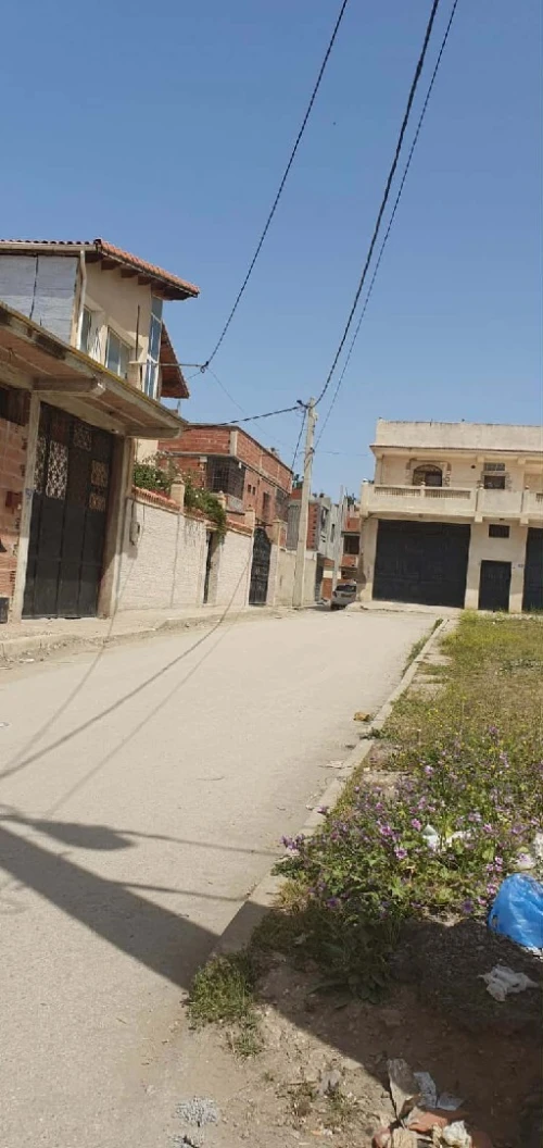 Vente Terrain Blida Blida