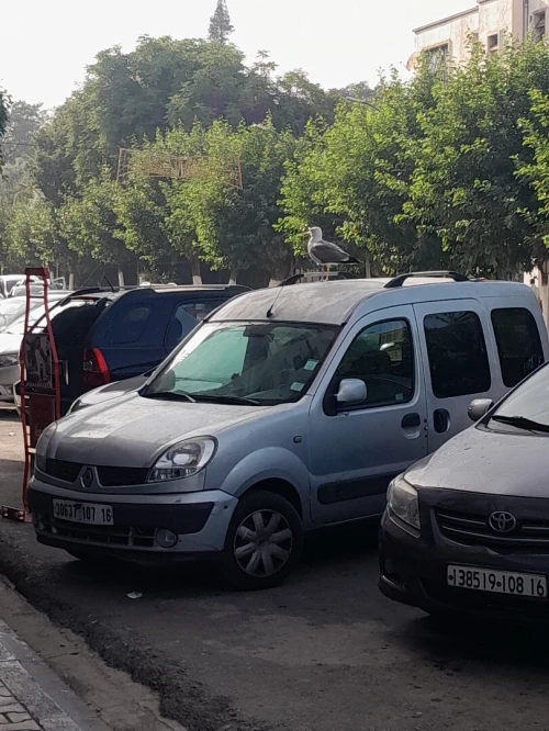 Renault Kangoo 2007 Kangoo