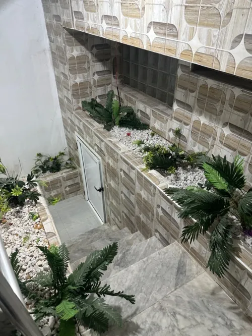 Location Local Oran Bir el djir