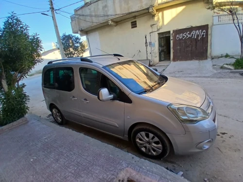 Citroen Berlingo 2009 Berlingo