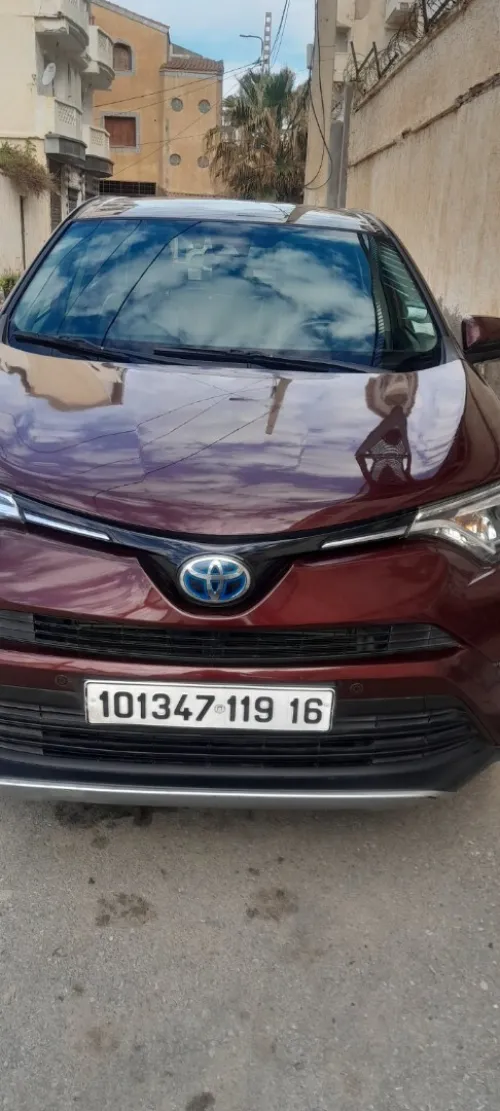 Toyota RAV4 2019 toyota hybride