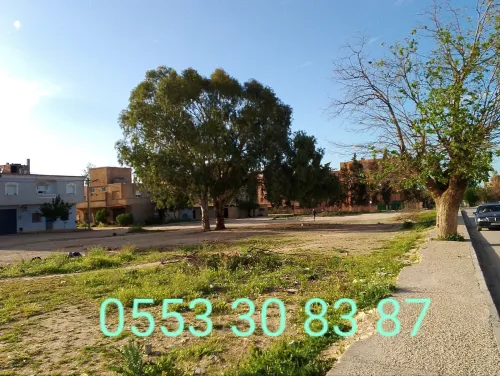 Vente Terrain Tiaret Sougueur