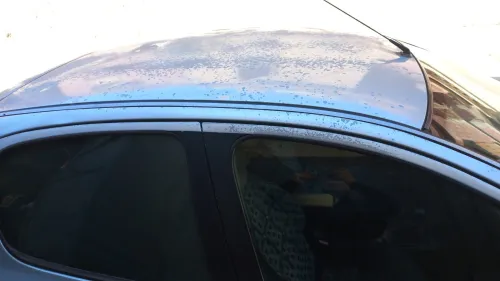Peugeot 206 2003 206