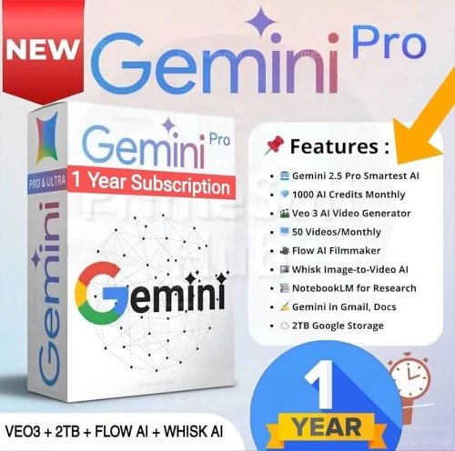 Gemini pro 1 ans