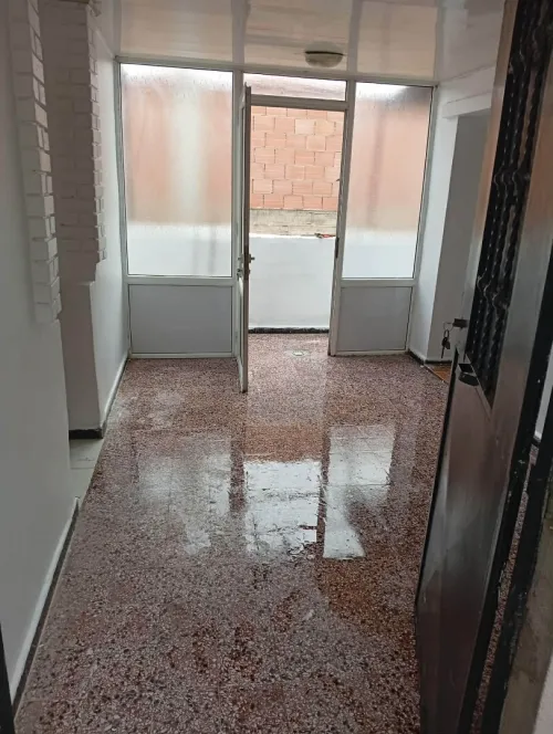 Location Villa Alger Les eucalyptus