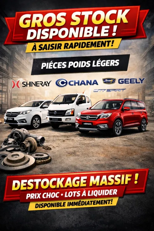 DESTOCKAGE PIÈCES VOITURES CHINOISES TRÈS GROS STOCK