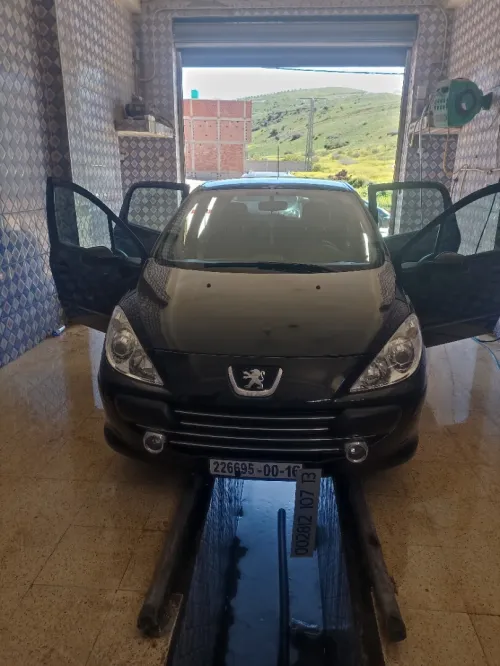 Peugeot 307 2007 Oxygo