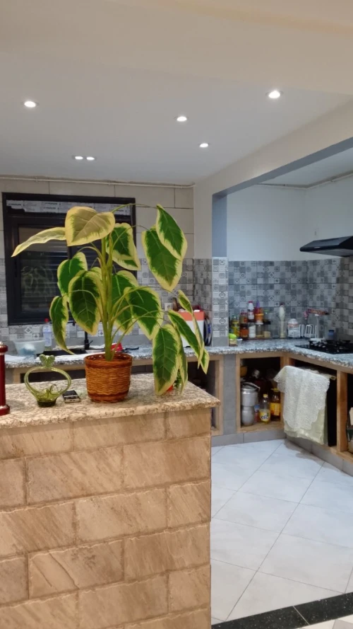 Vente Appartement F3 Tlemcen Mansourah 5