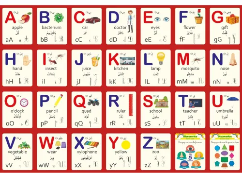 Infographe