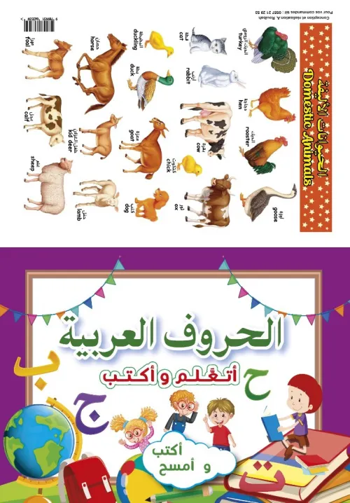 Infographe