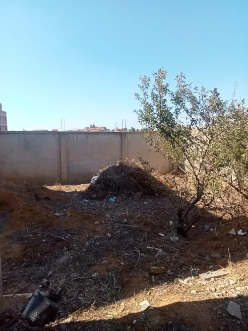 Vente Villa Alger Saoula