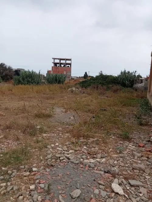 Vente Terrain Boumerdès Ouled moussa