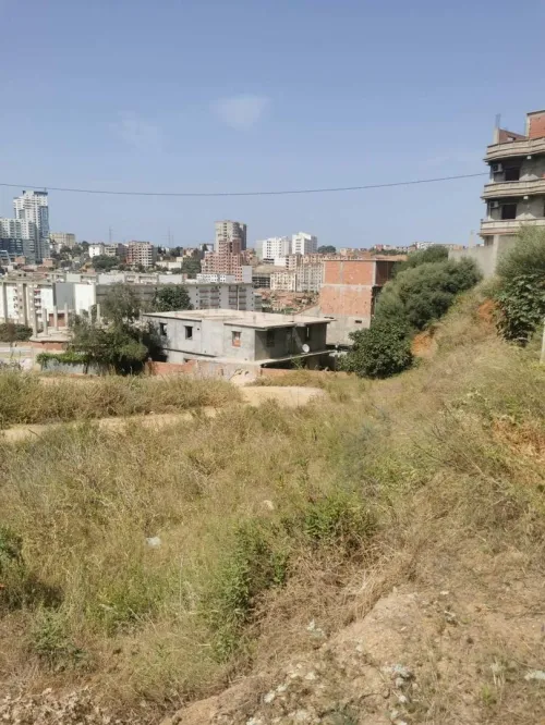 Vente Terrain Alger Saoula