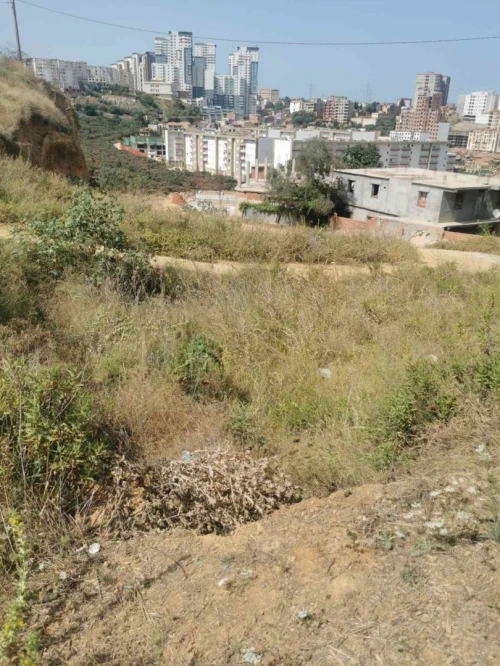 Vente Terrain Alger Saoula