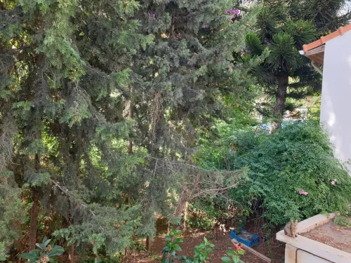 Location Niveau De Villa Alger El biar