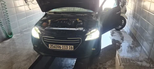 Peugeot 301 2013 