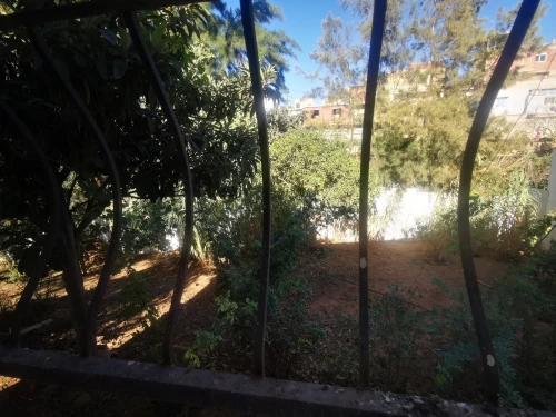 Vente Terrain Tipaza Bou ismail