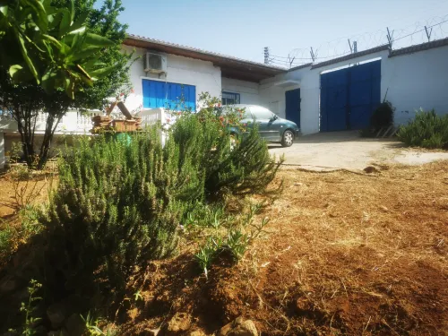 Vente Terrain Tipaza Khemisti