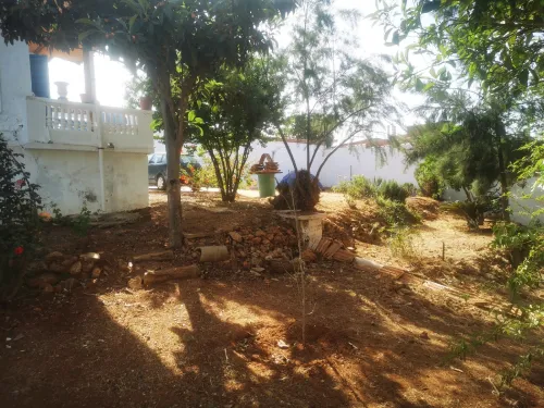 Vente Terrain Tipaza Khemisti