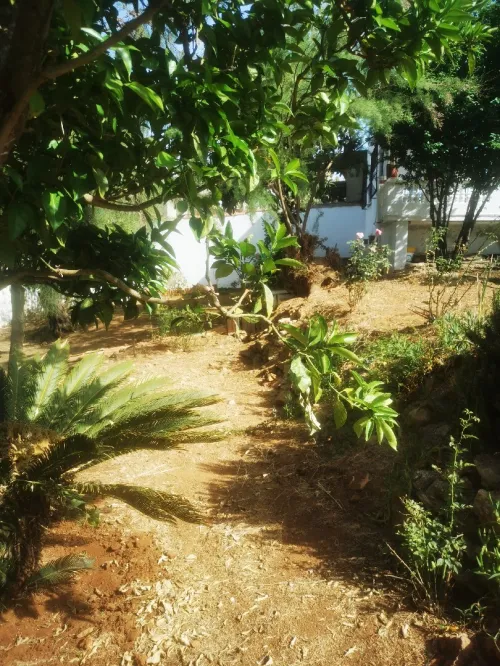 Vente Terrain Tipaza Khemisti