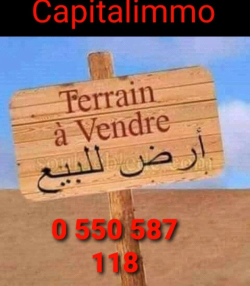 Vente Terrain Boumerdès Keddara