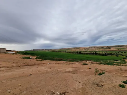Vente Terrain Agricole Oran Boufatis
