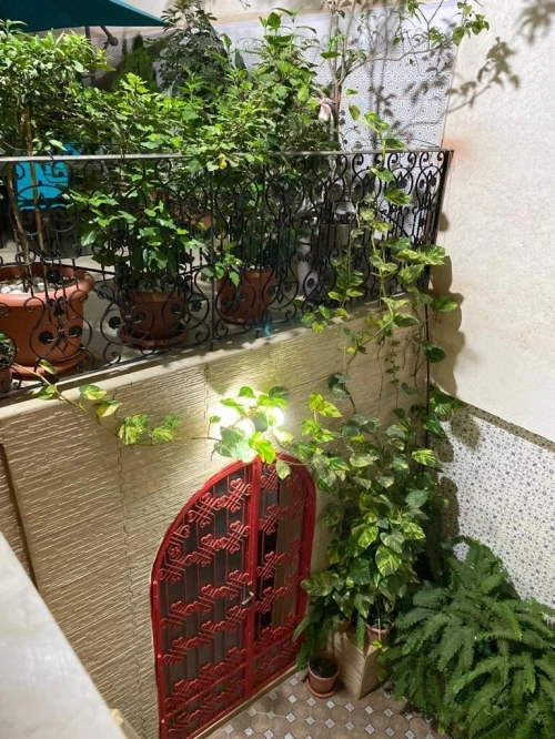 Location Villa Oran Oran