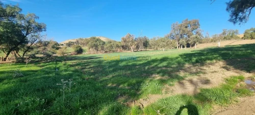 Vente Terrain Mostaganem Mostaganem