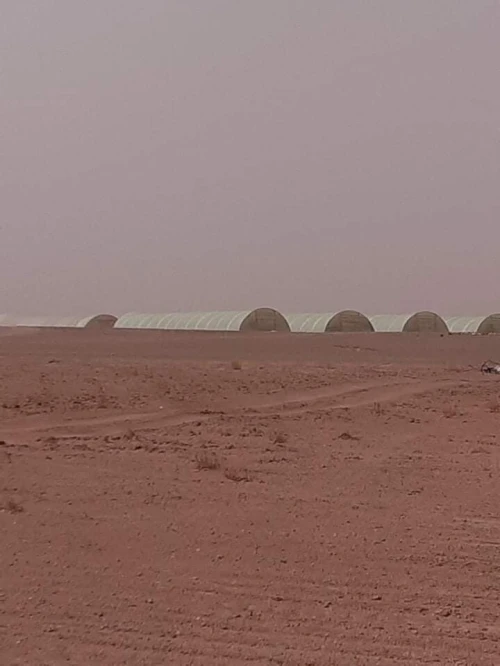 Vente Terrain Agricole Timimoun Aougrout