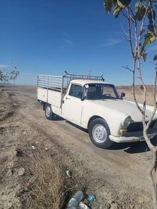 Peugeot 404 1982 Baché
