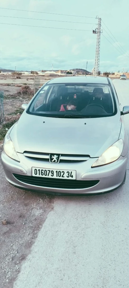 Peugeot 307 2002 307