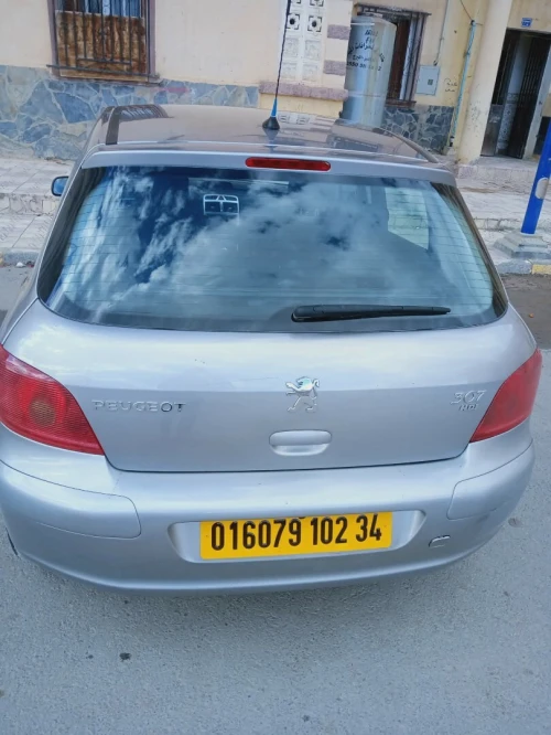 Peugeot 307 2002 307