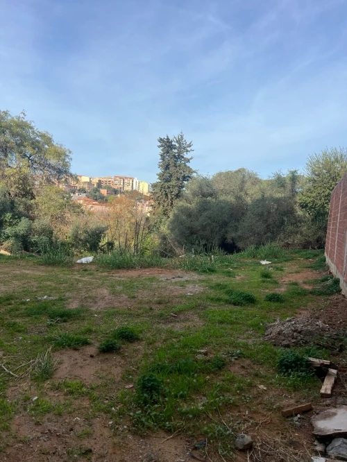 Vente Terrain Alger Saoula
