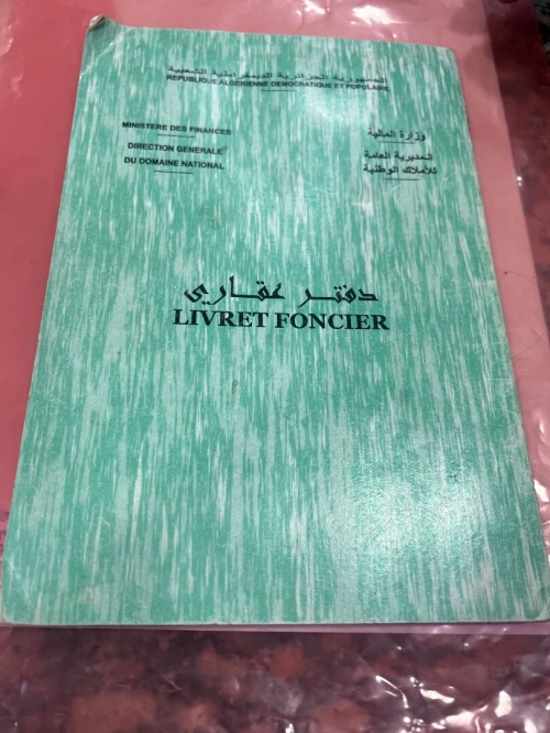 Vente Terrain Alger Saoula