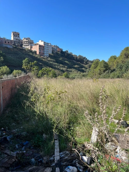 Vente Terrain Alger Saoula