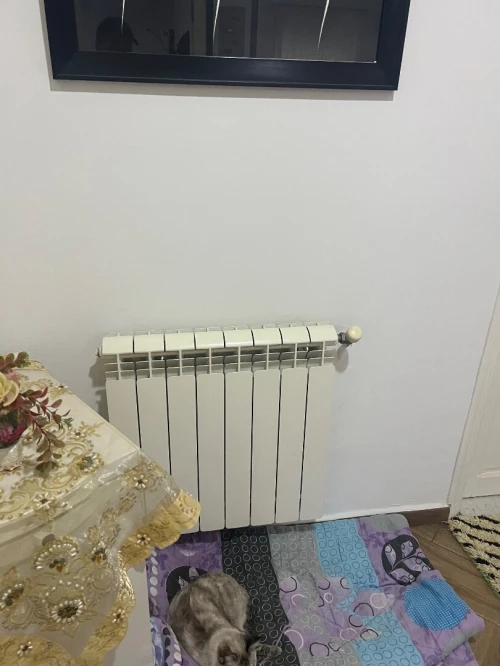 Vente Villa Alger Saoula