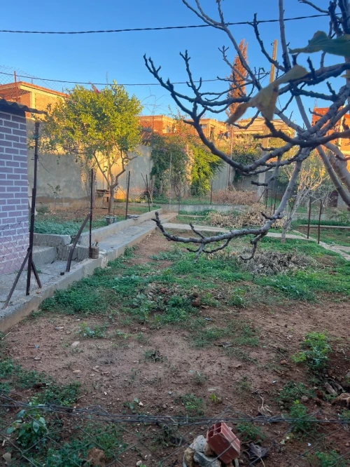 Location Villa Alger Saoula