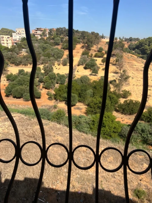 Vente Appartement F3 Alger Saoula