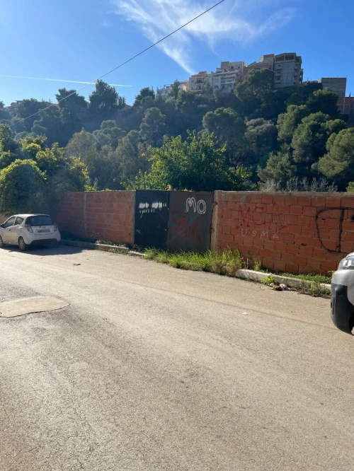Vente Terrain Alger Saoula